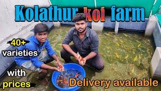 4rs முதல் Koi carp|aquafarm visit|40+ varieties|with price|kolathur farm visit|Xploring