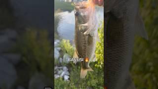 Went fishing today… #fishing #bassfishing #bass #fishingtips #angler