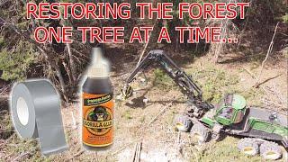 rebuilding the forest one tree at a time LOGGING PARODY