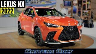 2022 Lexus NX - First Look at the 2nd Generation NX