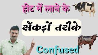 हीट में लाने के सैंकड़ों तरीके Confused DD Ramawat