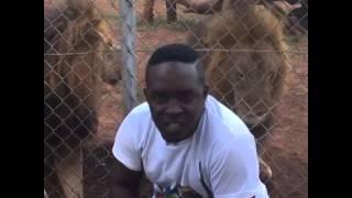 M.I-abaga-with-lions-www.yabaleftonline.com-video