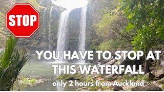 Whangarei Falls: A Must-Visit Stop 2 hours north of Auckland  on Your New Zealand Road Trip 