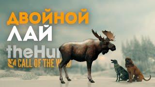 theHunter Call of the Wild - СОБАКИ В ДЕЛЕ - ТАЙГА - Лабрадор - Курцхаар