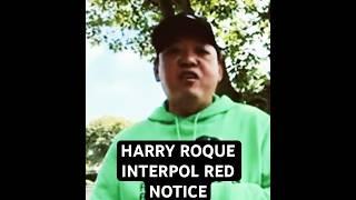 Harry Roque on Interpol Red Notice
