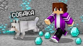 ВОТ КУДА ПРИВЕЛА МЕНЯ СОБАКА В МАЙНКРАФТ 100% троллинг ловушка minecraft