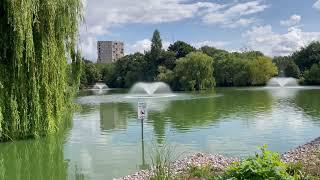 Lake at Chelmsford Central Park 4K Video