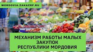 Механизм работы малых закупок Республики Мордовия