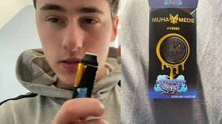 Muha meds blueberry haze🫐 2G Disposable Review‼️