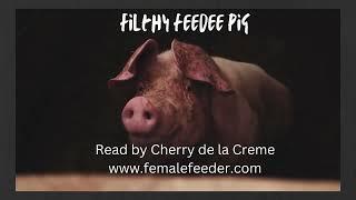 Filthy feedee pig (insulting, teasing and feedee encouragement)