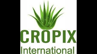 Aloe vera Farming in Okan wala by Cropix International