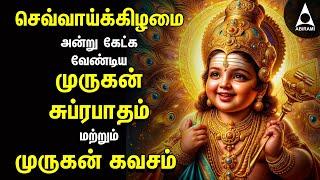 Tuesday Murugan Suprabatham & Murugan Kavasam | SPL MURUGAN TAMIL DEVOTIONAL SONGS