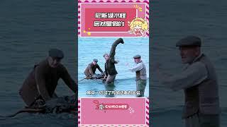 你知道當年小小的老子看這個有多入迷嘛 #尼斯湖水怪 #世界未解之謎 #萬萬沒想到