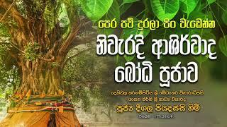 පිං වැඩෙන නිවැර​දි ආශිර්වාද බෝ​ධි පූජා​ව |  පූජ්‍ය දීගල පියදස්සි හිමි.