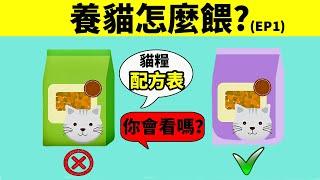 這款貓糧靠譜嗎？ 會看配方表很重要！ 【養貓怎麼餵 EP1】