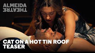 Cat on a Hot Tin Roof | Teaser