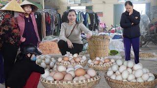 Selling Organic Eggs, Caring for Laying Hens and Cooking on Rainy Days.  Amy Green forest life.