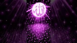 Laila Laila Mohammed #Laila Laila Mohammed# short#