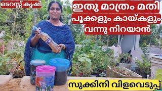 ഫിഷ് അമിനോ ആസിഡ് | FISH AMINO ACID | Preperation and use | Easy method | Malayalam