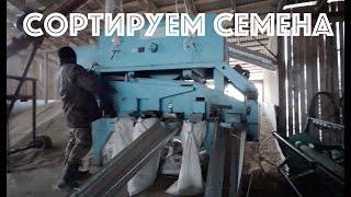 Сортируем семена на Петкус К-531