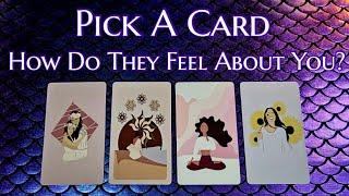 "HOW DOES THIS SPECIFIC PERSON FEEL ABOUT YOU RIGHT NOW?"  Pick A Card Love Reading