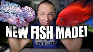 What happened when I CROSSED my FLOWERHORN with my KING KONG PARROT FISH!! The king of DIY