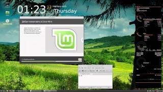 Linux Mint Cinnamon 17.1 64 bit часть 2 Установка официального образа  с флешки на жёсткий диск