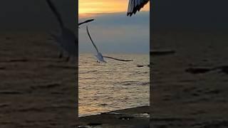 .Richard Clayderman & James Last -  «Duo Solo»