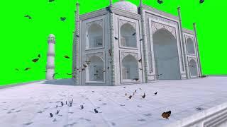 Animated Butterflies Landing Taj Mahal Green Screen 3D HD