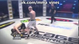 MMA VINE #6