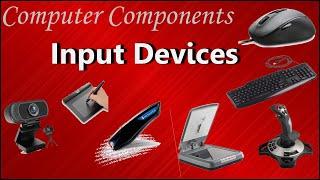 Input Devices of Computer | (Examples and purpose)