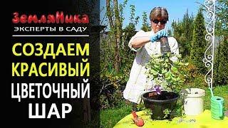 Невероятно красиво. Кашпо цветущий шар. Секреты декорирования.