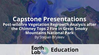 Post-wildfire Vegetation Regrowth Analysis after the Chimney Tops 2 Fire in Great Smoky Mountains