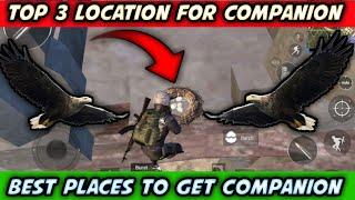 EAGLE COMPANION Pubg mobile|| EAGLE ALL SECRET LOCATION IN MAP| 0.12.05 NEW UPDATE