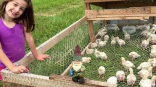 Cedar Hill Homestead Video