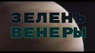 Растения на Венере есть?.. Трава на Венере