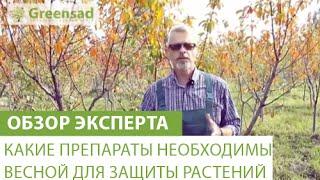 Какие препараты необходимы весной для защиты растений