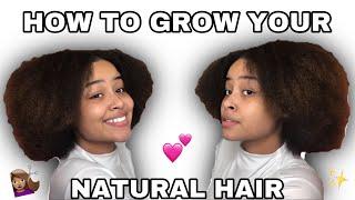 10 TIPS ON HOW TO GROW YOUR NATURAL HAIR | Taylor Madison