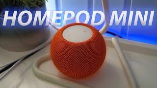 ВТОРАЯ ЖИЗНЬ HOMEPOD MINI | Обзор и опыт использования в 2024 году | HomePod Mini или Яндекс станция