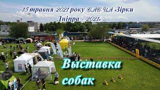 Выставка собак всех пород. Днепр 2021 / клуб "Талисман"