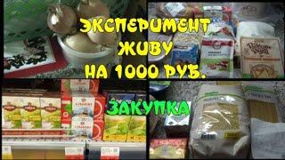 ЭКСПЕРИМЕНТ. ЖИВУ НА 1000 РУБЛЕЙ. Закупка продуктов.