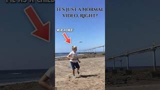 It’s not just a normal plane | Jeju 737 Crash #aviation #avgeek #planecrash #shorts #viral