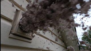 THIS ONE'S BAD GUYS! Satisfying Dryer Vent Cleaning! #almetaldryervent #satisfying #fyp #asmr #diy