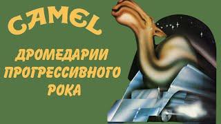 Camel - Дромедарии прогрессивного рока