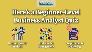 Business Analyst Quiz for Beginners #2 | Business Process Model, Data Analyst, Solution Assessment