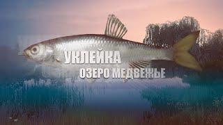 Русская Рыбалка 4 ► Russian Fishing 4 ► Озеро Медвежье - Уклейка