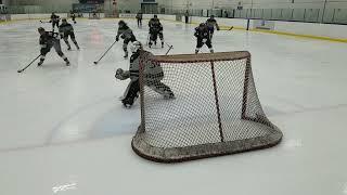 15 Abby Green from Laughlin and Hearty v NYS