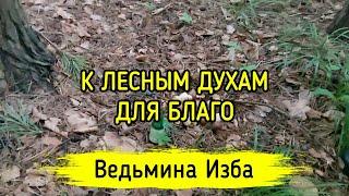 К ЛЕСНЫМ ДУХАМ. ДЛЯ БЛАГО. ДЛЯ ВСЕХ. ВЕДЬМИНА ИЗБА ▶️ МАГИЯ