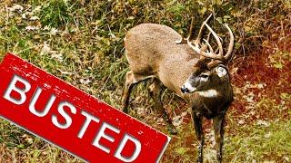 5 Deer Hunting Myths (You Shouldn't Believe!!!)