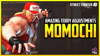 SF6 ▰ Momochi Amazing Terry Adjustments !! ▰ STREET FIGHTER 6 Season 2